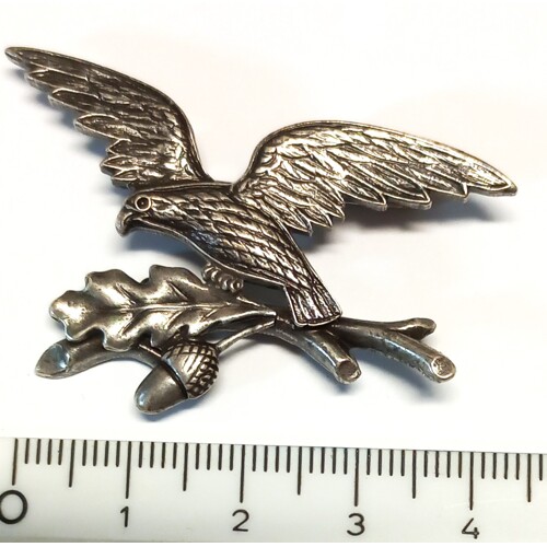 30. Orel, žaludy -starostříbro