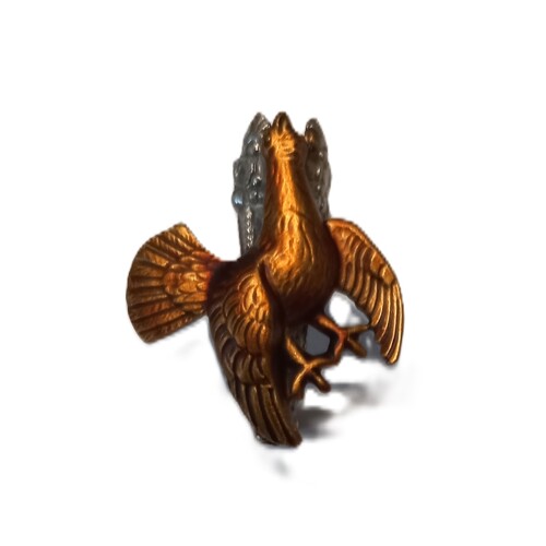 5.Touleček, tetřev - barvené