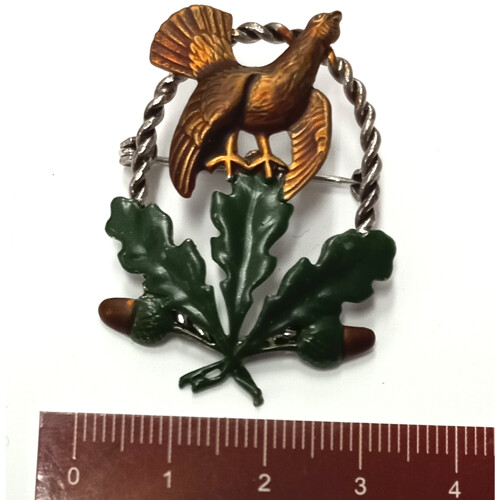 18. Tetřev v kruhu, žaludy - barvené