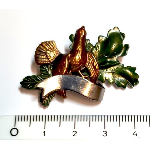 25. Tetřev, stuha, dub - barvené