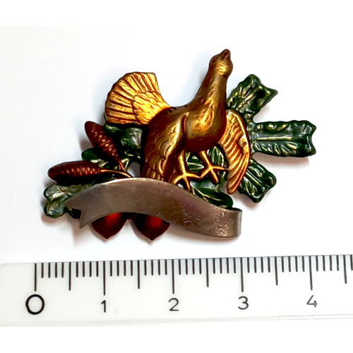 28. Tetřev, stuha, šišky  - barvené