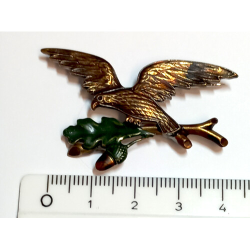 30. Orel, žaludy  - barvené