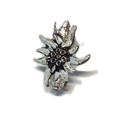 3. Touleček, větší protěž - barvené