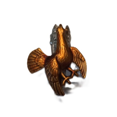 5.Touleček, tetřev - barvené