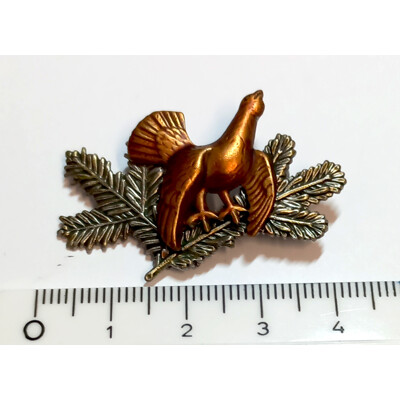 58.Tetřev , 2 úlomky - barvené